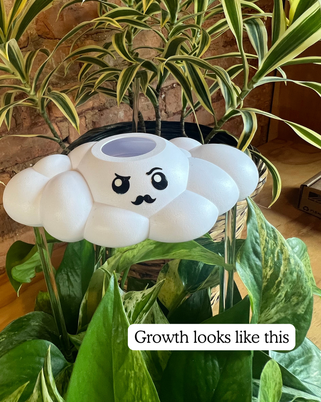 Carl the Cloud