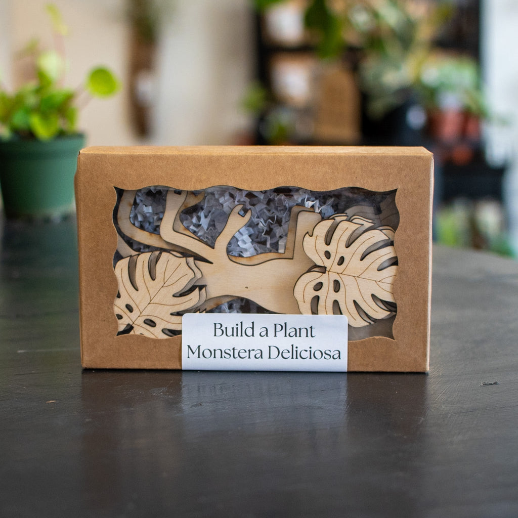 Build A Plant - Monstera